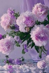 Pin by Manuel Kunze on 장미 | Diy arrangements, Diy flowers, Flower arrangements