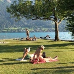 Vintage에 있는 Passionate Bucketlist님의 핀 - 2023 | 자연 사진, 숲 사진, 낭만적인 사진