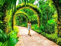 Captured this Amazing Green Shot in the National Orchid Garden in Singapore! I waited a long time for the other tourists to clear... 