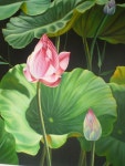-font-b-Lotus-b-font-font-b-Flower-b-font-font-b-Oil-b-font.jpg (1000×1333) | 연꽃 그림, 수채화 그림