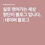 실로 엮어가는 세상 향단이 블로그 입니다. : 네이버 블로그 | 블로그