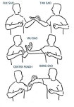 Wing Chun | 무술, 운동, 건강