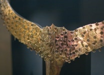 관 꾸미개 : Gold Cap Ornament | Ceiling lights, Chandelier, Jewelry