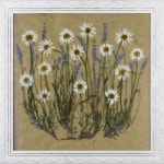 Pressed Flower Craft Ideas | Framed Pressed Flowers | Craft Ideas | 압화