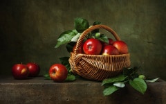 11 Tips for Creating Breathtaking Images that Look Like Paintings | 정물 사진, 초점거리, 정물