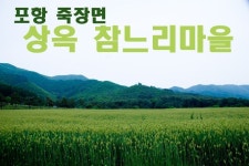 [포항면단위투어] 죽장면 -- 참느리마을 밀밭과 보리밭 | South korea, Nature, Places