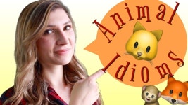 Fun Animal Idioms to Improve Your English 🐶 - YouTube | 영어