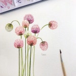 더 예쁜 하루가 되길⭐️ - Paper : Arches 100% cotton Paint : Holbein Botanical Art Set - - - 수채화, 아크릴화 취미미술 문의... 