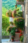 Pin de Shulline em 정겨운 정경 | Belos jardins, Jardim de sonho, Plantio de árvores