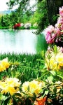 Natural~에 있는 Hope님의 핀 | 풍경 사진, 자연, 꽃 사진