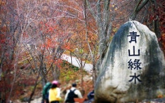 청산녹수(靑山綠水),홍산녹수(紅山綠水) | 아름다운