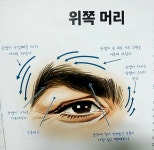 그리기 / 드로잉 / drawing /스케치/이모티콘/ 간단한그림/ 데생 /캐리커처드로잉 / 충돌이 / K.S.C | Caricature sketch... 