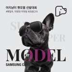 [삼성카드][이벤트] [EVENT 아지냥이 펫모델 선발대회] 아지냥이 #펫밀리 주목! 화보촬영했으니, 이제 ... 펫밀리,삼성카드,아지냥이 | 배너, 지갑... 