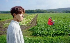 쿱정원 🌻‧₊˚. on Twitter | Seventeen album, Seventeen, Seventeen kpop