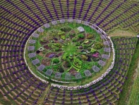 Lavender labyrinth at Cherry Point Farm & Market in Michigan | 정원 가꾸기, 퍼머컬쳐, 정원