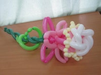 꽃에 있는 선희풍선아트님의 핀 | 꽃