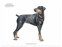 색연필 1 (colored pencil)에 있는 BongAe Song님의 핀 | 색연필