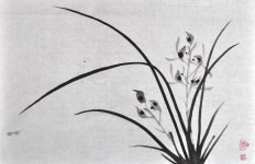 사군자 난 – Daum 검색 | 블로그