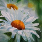 sharon freeman watercolor | 캔버스 그림, 유화, 수채화 아트