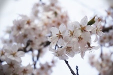 경아.com :: 경아.com