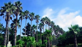 ^_^  한림공원 翰林公園을 아시나요? 제주도의 대표적인 관광지라고 할... ^_^  한림공원 翰林公園﻿을 아시나요? 제주도의 대표적인 관광지라고 할... 