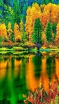 Autumn Reflections | 자연 사진, 자연 배경화면, 풍경 디자인