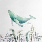 자세한 문의 DM📩 - #classwithkate#수채화취미미술#turquoisewhale🐋#katewhalewatercolor#katewatercolor… | 일러스트레이션... 