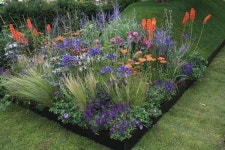 plant combinations - Google Search | 정원