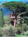 amazing treehouses.. | 트리하우스, 나무 위의 집, 작은 집