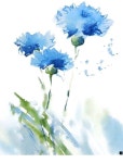 to learn more about canvas art prints. Follow the link for more information Our web images are a must see!! | 꽃그림, 수채화 꽃