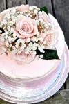 The Cake Bake Shop | Cake bake shop, No bake cake, Pretty cakes