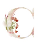 Pin de 네츠 나 em 수채화 일러스트 | Imagens para quadros decorativos, Imagens para quadros, Fundos para montagens