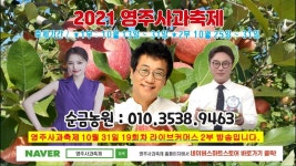 2021영주사과축제 10월 31일 19일차 2부 영주시 순금농원 라이브커머스... 영주시 순금농원 라이브커머스 방송(가수 위일청, 쇼호스트 권정연)... 