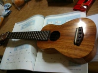 Ukulele 우쿨렐레 | 우쿨렐레