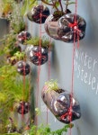 PET Bottle Handling: 68 Photos and Footsteps | Home Decoo | 정원 아이디어, 정원 가꾸기, 정원 소품