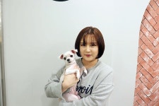 [인천-2018-0314] 말티즈 미르 책임분양 : 강아지무료분양 도그마루 입양완료 | 말티즈, 인천