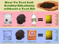 this would be a cool basic soil acidity lab!!!(이미지 포함)