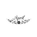 calligraphy에 있는 Jenny Olivia님의 핀