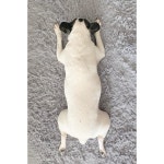 #육삼이 # #닭백숙 #...