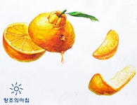기초디자인 건국대 기디 입시미술 기초디자인 개체묘사 한라봉, 과일, 오렌지 일러스트 디자인 | 그림, 현실적인 그림, 그림 배우기