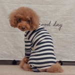 : #에이미러브즈펫 #강아지후드 #강아지옷 #강아지의류 #고양이옷... 펫샵도매 #그루밍독 #까니쉬 #남대문강아지 #… - 2020 | 강아지 옷, 애견... 