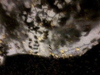 길마중길의 다른 풍경에 있는 최은선님의 핀