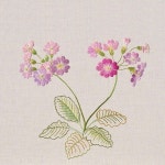 #야생화자수 #설앵초 #앵초 #꿈소 #꿈을짓는바느질공작소 #embroidery #primulamodesta #primrose | 일본 자수, 털실 자수, 자수 예술