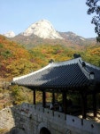 Image by 상용 정 on TOUR | Fall pictures, Tours