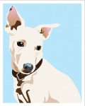 Custom Pet Portrait Modern Dog Art Detailed Illustration (8x10) | 강아지, 팝 아트 초상화, 팝아트