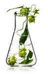 Pin de 문정 최 en 화장품 | Fotos de belleza, Perfumeria, Decoracion con flores