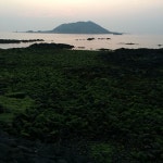 jj - project에 있는 SOYEON PARK님의 핀