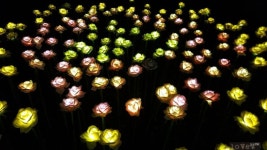 [국내]진천, 증평 그리고 음성 | 세상의 모든 여행, 위시빈 | 여행, 음성