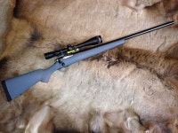 1-3(2)에 있는 미고스님의 핀 | 화기