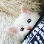 Heey, look how cute I am! …(이미지 포함)